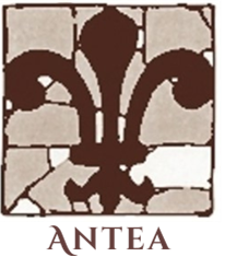 antea